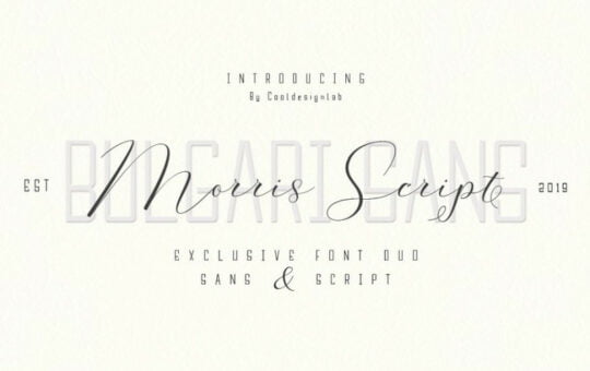 Morris-Script-Font-Duo.jpg