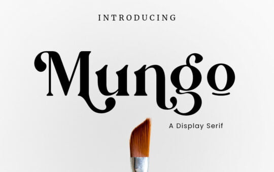 Mungo-Serif-Font.jpg