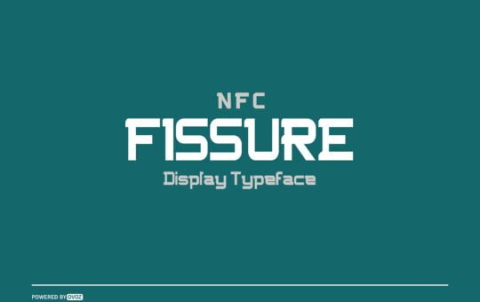 NFC-FISSURE-DISPLAY-FONT-1.jpg