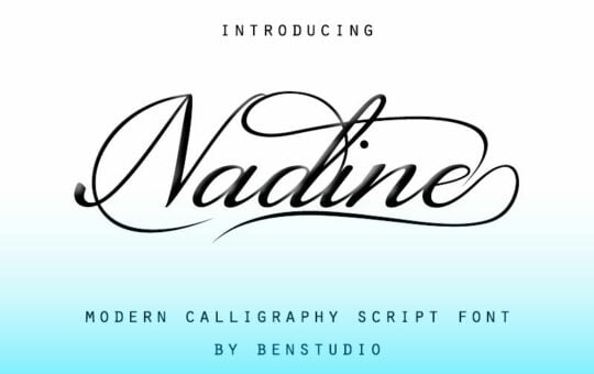 Nadine-Calligraphy-Script-Font-1.jpg
