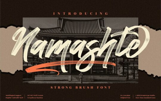 Namashte-Brush-Script-Font-1.jpg