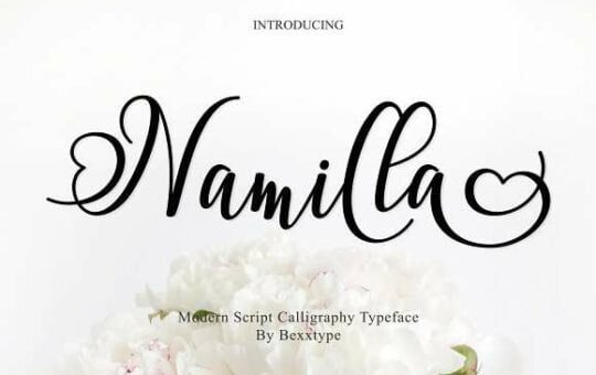 Namilla-font.jpg