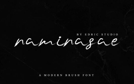 Naminasae-Modern-Brush-Font-1.jpg