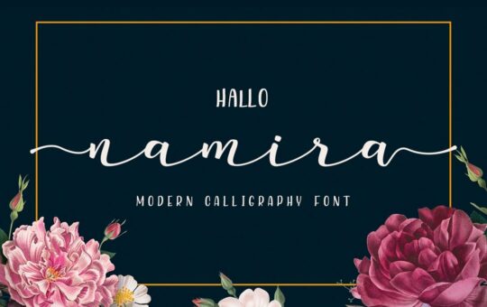 Namira-Modern-Calligraphy-Script-Font-1.jpg