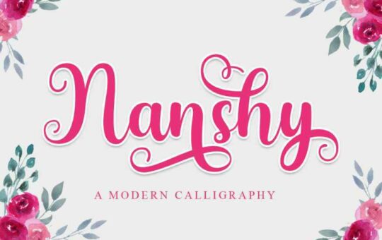 Nanshy-Modern-Calligraphy-Font-1.jpg