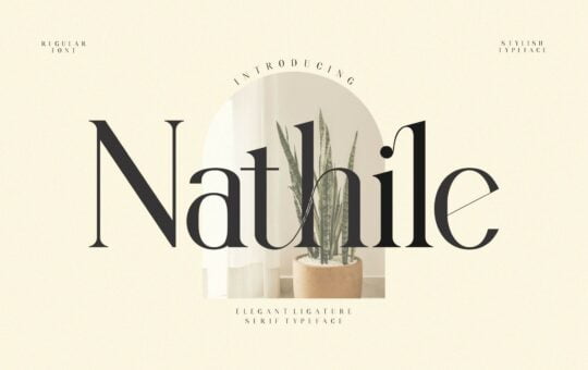 Nathile-Modern-Serif-Font-1.jpg