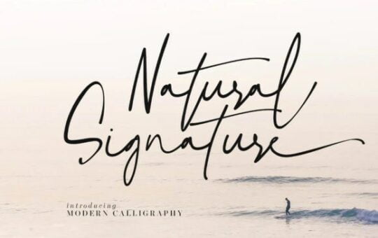 Natural-Signature-Font-1.jpg