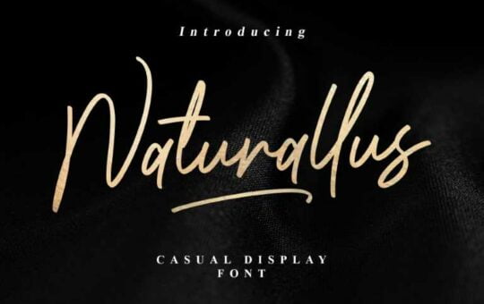 Naturallus-Stylish-Display-Font-1.jpg