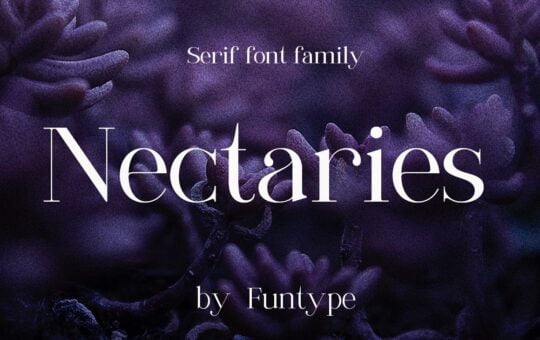 Nectaries-Modern-Serif-Font-1.jpg