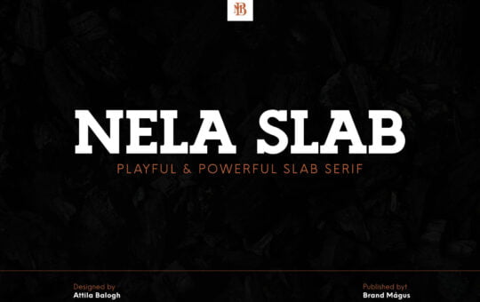 Nela-Slab-Serif-Font-1.jpg