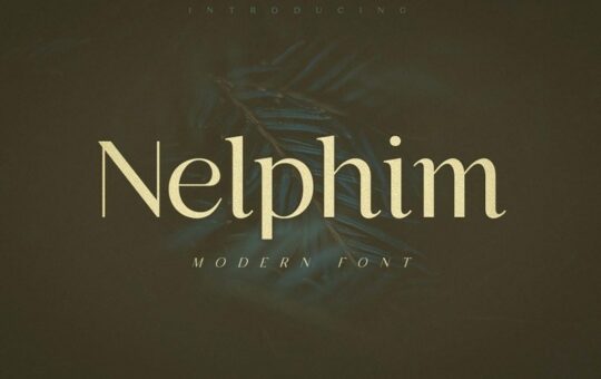Nelphim-Modern-Sans-Serif-Font.jpg