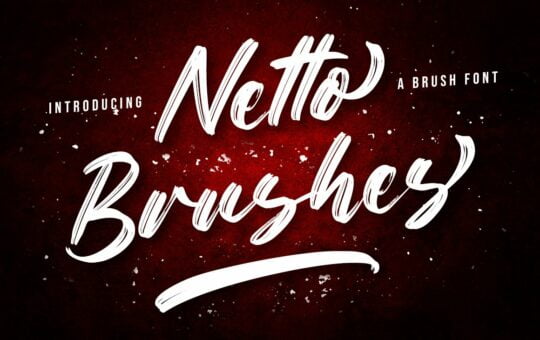 Netto-Brushes-Font.jpg