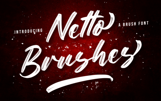 Netto-Brushes-Script-Brush-Font-1.png