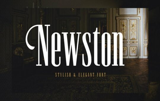 Newston-Stylish-Serif-Font.jpg