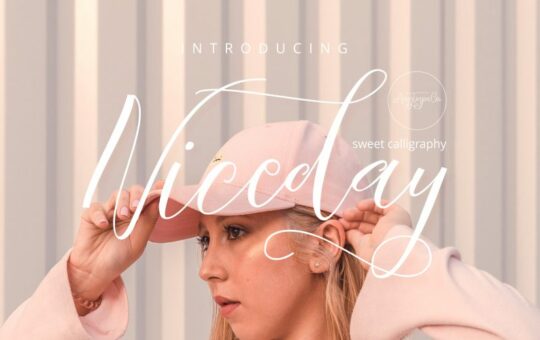 Niceday-Script-Font.jpg
