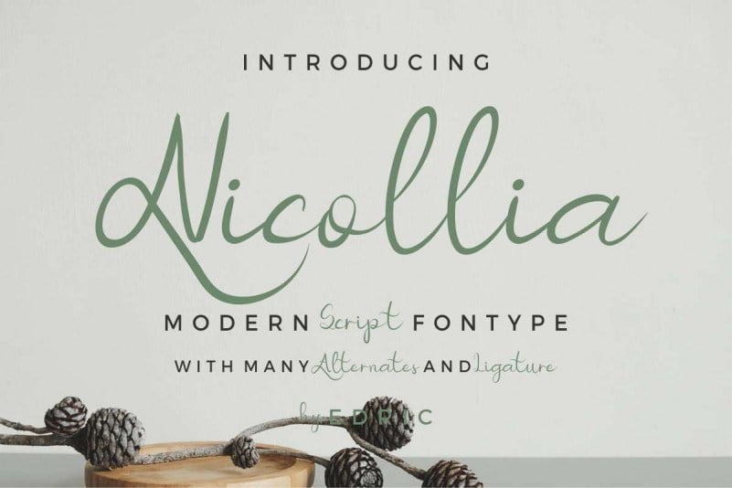 Nicollia-Script-Font.jpg