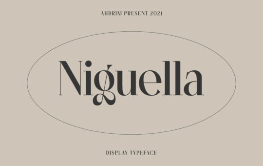 Niguella-Serif-Font-1.jpg