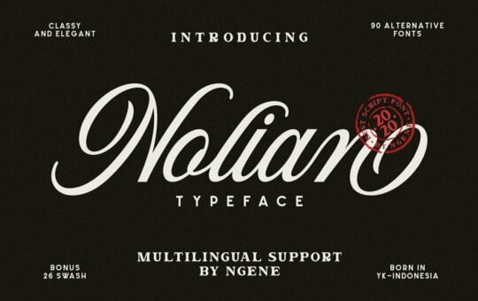 Nolian-Script-Typeface.jpg