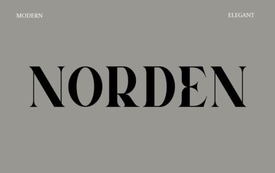 Norden-Modern-Serif-Font-1.jpg