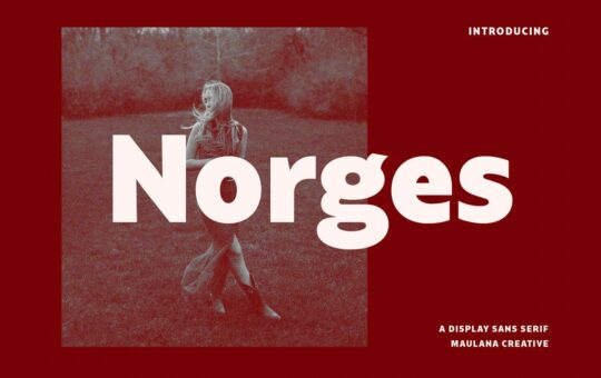 Norges-Sans-Serif-Font-1.jpg