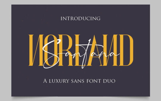 Norland-Santana-A-Luxury-Sans-Serif-Font-Duo-1.jpg