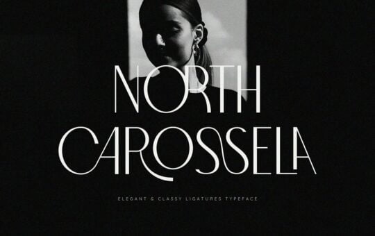 North-Carossela-Ligature-Sans-Typeface.jpg