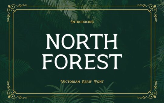 North-Forest-Serif-Typeface-1.jpg