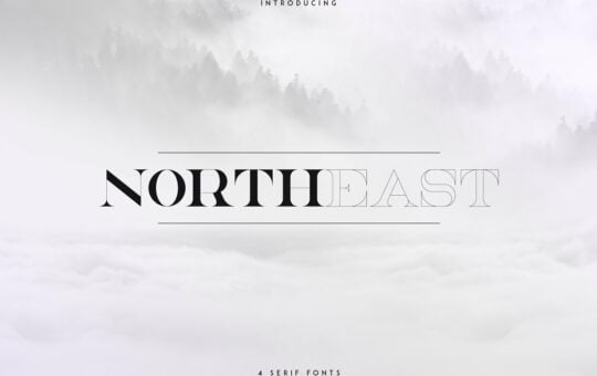 NorthEast-Serif-Font.jpg