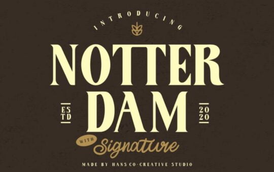 Notter-Dam-Serif-Script-Font-Duo-1.jpg