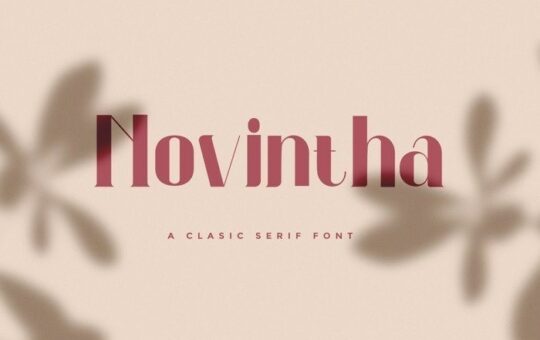 Novintha-Clasic-Serif-Font-1.jpg