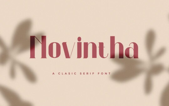 Novintha-Serif-Font-1.jpg