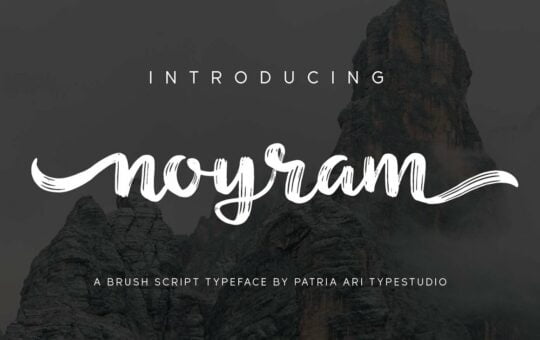 Noyram-Brush-Script-Font-1.jpg