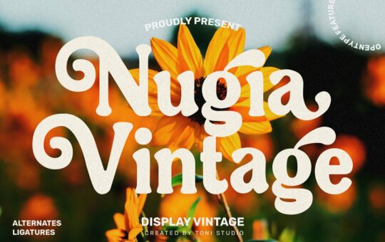 Nugia-Vintage-Font.jpg