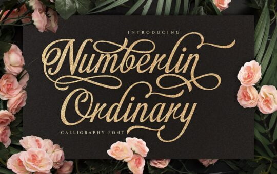 Numberlin-Ordinary-Calligraphy-Font-1.jpg