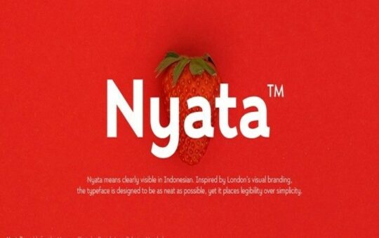 Nyata-Sans-Serif-Font-1.jpg