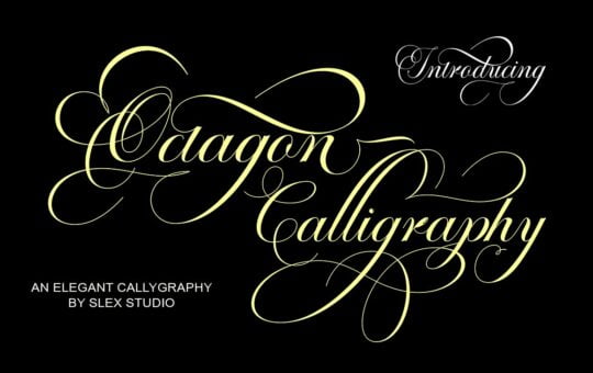 Octagon-Calligraphy-Font.jpg