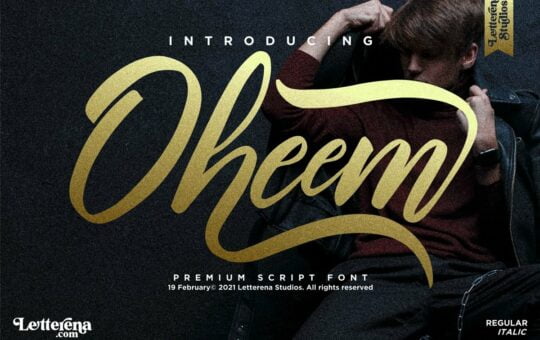 Oheem-Premium-Script-Font-1.jpg