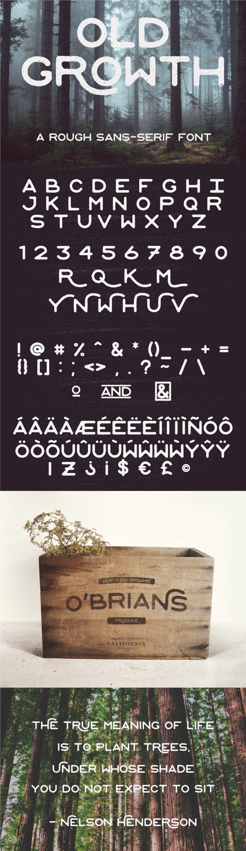 OldGrowth-FreeRoughVintageFont.jpg