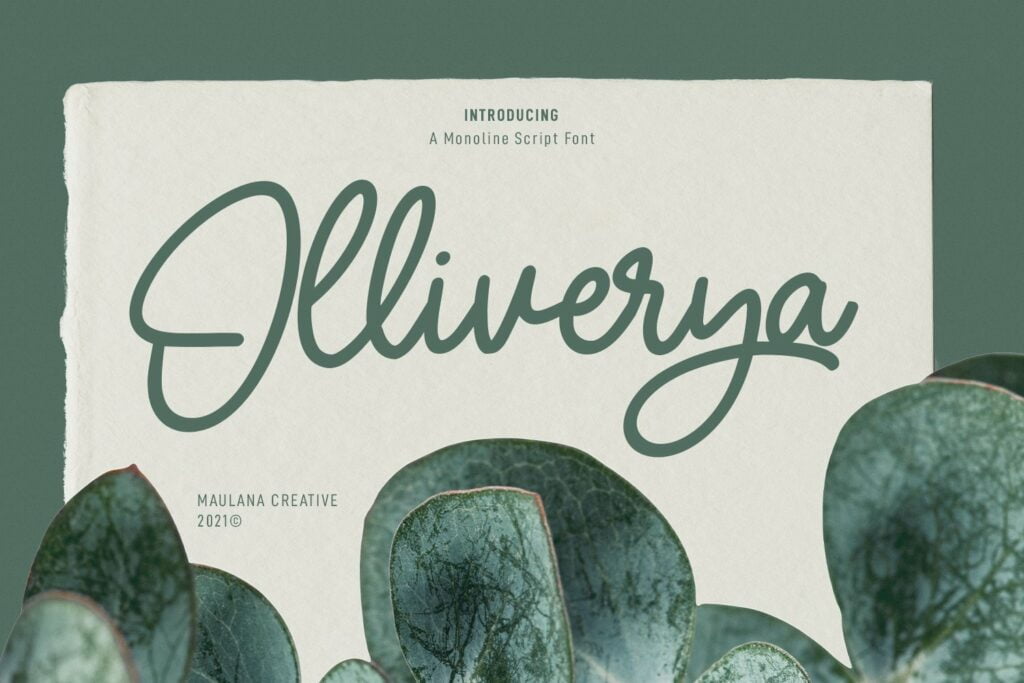Olliverya-Monoline-Script-Font-1.jpg