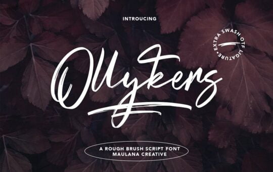 Ollykers-Brush-Script-Font-1.jpg