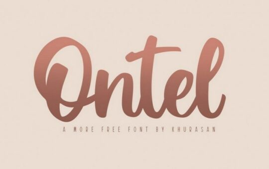 Ontel-Bold-Script-Font-1.jpg