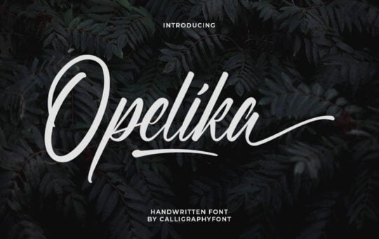 Opelika-Handwritten-Script-Font-1.jpg