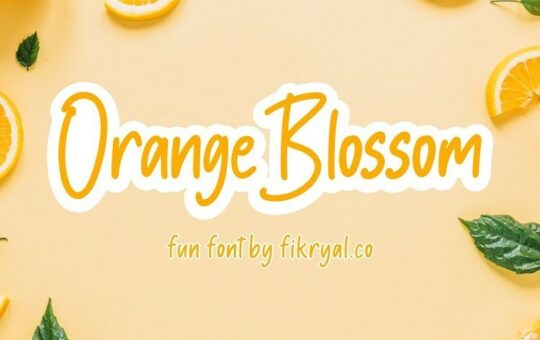 Orange-Blossom-Handwritten-Font-1.jpg