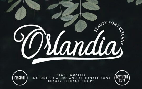 Orlandia-Calligraphy-Script-Font-1.jpg