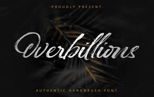 Overbillions-Modern-Brush-Font-1.jpg