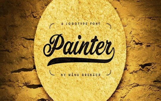 Painter-Bold-Script-Font-1.jpg