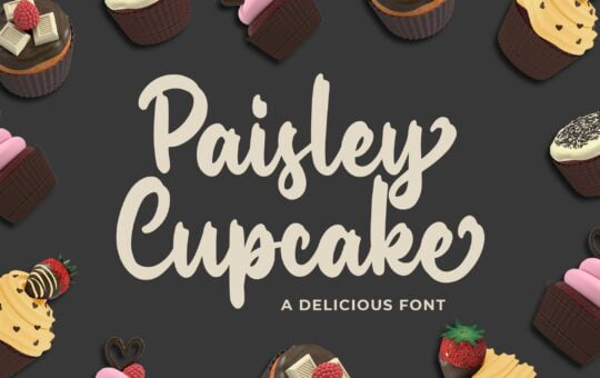 Paisley-Cupkace-Script-Font-1.jpg