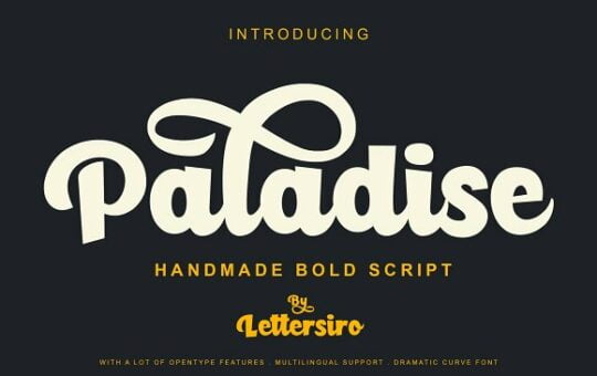 Paladise-Script-Font.jpg