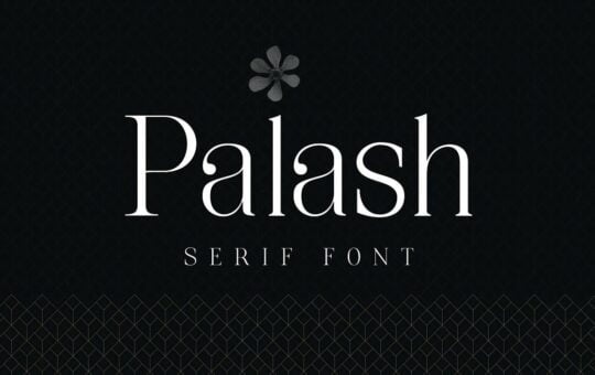 Palash-Feminine-Serif-Font-1.jpg