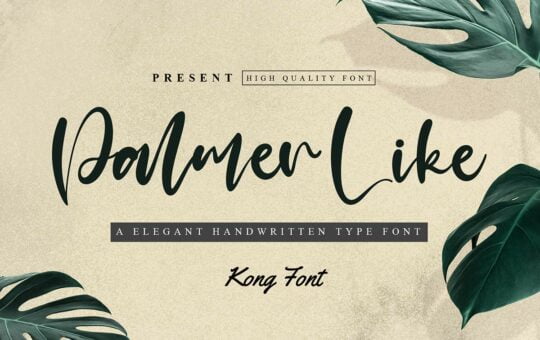 Palmer-Like-Handwritten-Font-1.jpg